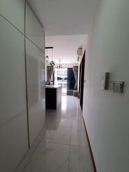Palm Isles (D17), Condominium #464823801